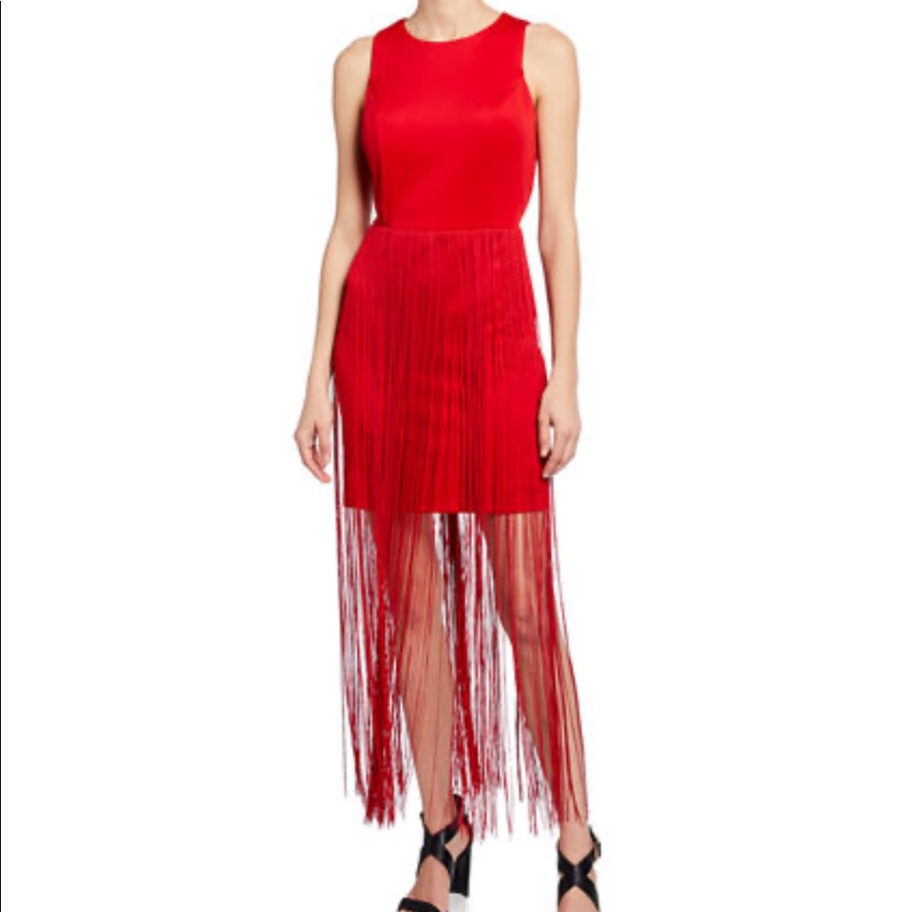 Bebe
Fringe T-Length Sheath Dress